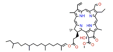(13(2)-R)-Hydroxyphaeophytin B